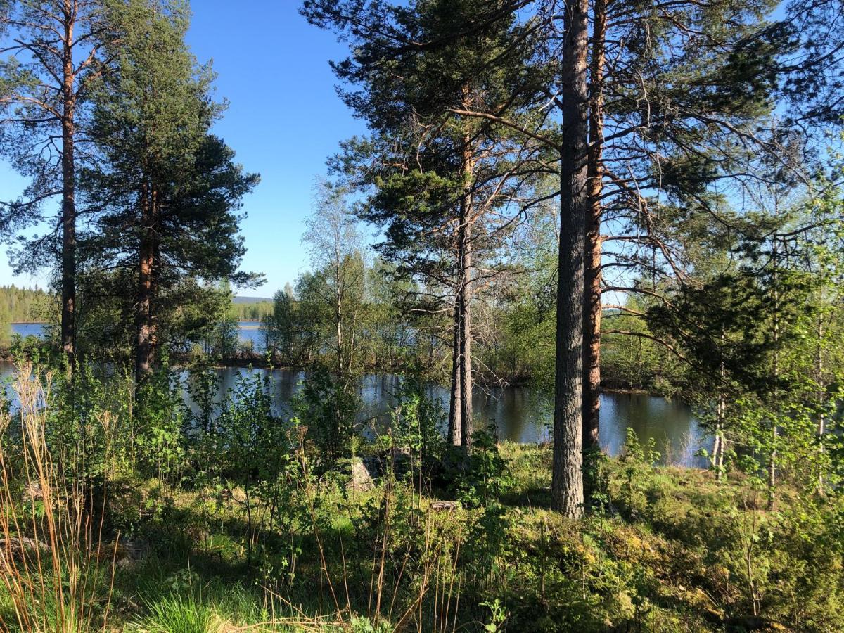 Log Cabin In Lapland By The River Rovaniemi Exterior photo